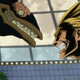 All Might faces off against one of the mysterious Nomu in the first season of My Hero Academia’s manga adaptation.